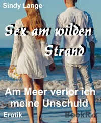 Sex am wilden Strand - Sindy Lange - E-Book