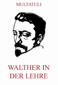 Walther in der Lehre - Multatuli - E-Book