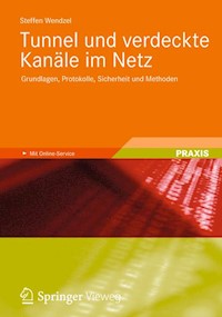 Tunnel und verdeckte Kanäle im Netz - Steffen Wendzel - E-Book