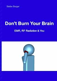 Don't Burn Your Brain - Stefan Burger - E-Book