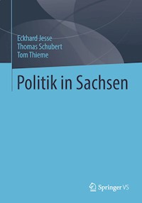 Politik in Sachsen - Eckhard Jesse - E-Book