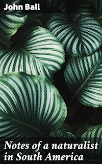Notes of a naturalist in South America - John Ball - E-Book