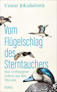 Vom Flügelschlag des Sterntauchers - Unnur Jökulsdóttir - E-Book