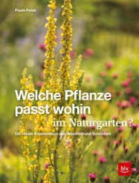 Welche Pflanze passt wohin im Naturgarten? - Paula Polak - E-Book