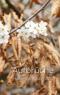 Aufbrüche - Volker Friebel - E-Book