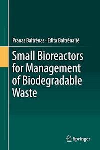 Small Bioreactors for Management of Biodegradable Waste - Pranas Baltrėnas - E-Book
