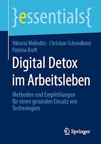 Digital Detox im Arbeitsleben - Viktoria Welledits - E-Book