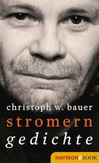 Stromern - Christoph W. Bauer - E-Book