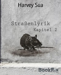 Straßenlyrik - Harvey Sua - E-Book