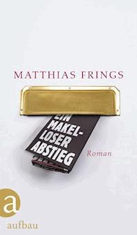 Ein makelloser Abstieg - Matthias Frings - E-Book