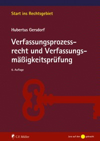 Verfassungsprozessrecht und Verfassungsmäßigkeitsprüfung - Hubertus Gersdorf - E-Book
