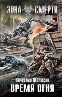 Время огня - Вячеслав Шалыгин - E-Book