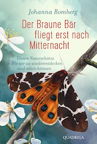 Der Braune Bär fliegt erst nach Mitternacht - Johanna Romberg - E-Book