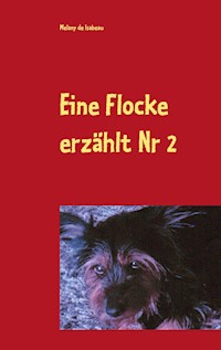 Eine Flocke erzählt - Melany de Isabeau - E-Book