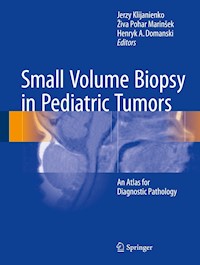 Small Volume Biopsy in Pediatric Tumors -  - E-Book