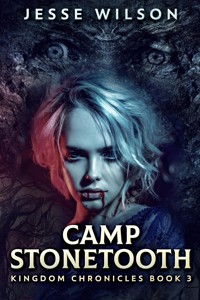 Camp Stonetooth - Jesse Wilson - E-Book