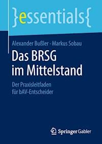 Das BRSG im Mittelstand - Alexander Bußler - E-Book