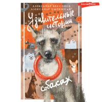 Удивительные истории о собаках - Александр Бессонов - Hörbuch