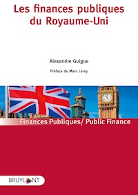Les finances publiques du Royaume-Uni - Alexandre Guigue - E-Book