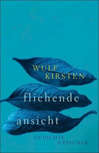 fliehende ansicht - Wulf Kirsten - E-Book