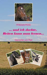 und ich dachte, Reiten kann man lernen - Pfridolin Pferd - E-Book