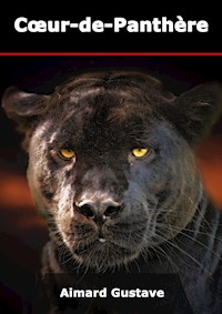 Coeur-de-Panthère - Aimard Gustave - E-Book