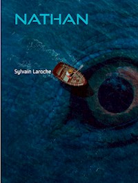 Nathan - Sylvain Laroche - E-Book