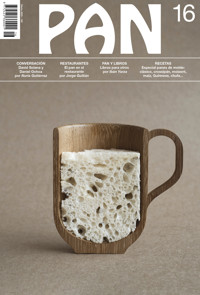 PAN 16 - aa.vv - E-Book