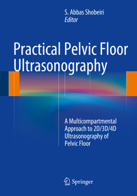 Practical Pelvic Floor Ultrasonography -  - E-Book