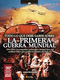 Todo lo que debe saber sobre la 1ª Guerra Mundial - Jesús Hernández Martínez - E-Book