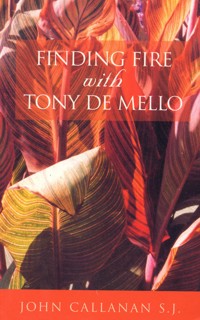 Finding Fire With Tony De Mello - John Callanan - E-Book