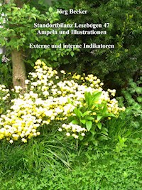 Standortbilanz Lesebogen 47 Ampeln und Illustrationen - Jörg Becker - E-Book