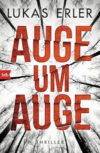Auge um Auge - Lukas Erler - E-Book