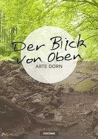 Der Blick von Oben - Arte Dorn - E-Book