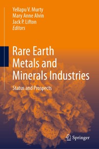 Rare Earth Metals and Minerals Industries -  - E-Book