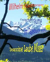Zwischenräume im Tagebuch von Jeannine Laube-Moser - Wilhelm Kastberger - E-Book