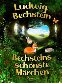 Bechsteins schönste Märchen - Ludwig Bechstein  - E-Book