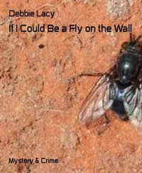 If I Could Be a Fly on the Wall - Debbie Lacy - E-Book