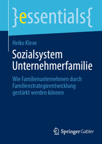 Sozialsystem Unternehmerfamilie - Heiko Kleve - E-Book