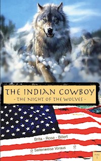 The Indian Cowboy 1 - Brita Rose Billert - E-Book