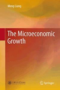 The Microeconomic Growth - Meng Liang - E-Book