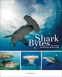 Shark Bytes - John Bantin - E-Book