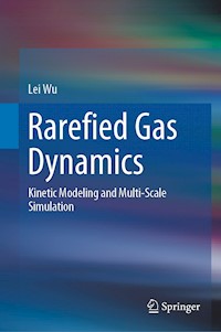 Rarefied Gas Dynamics - Lei Wu - E-Book