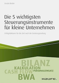 Die 5 wichtigsten Steuerungsinstrumente für kleine Unternehmen - Ursula Binder - E-Book
