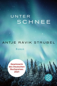 Unter Schnee - Antje Rávik Strubel - E-Book