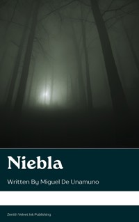 Niebla - Miguel de Unamuno - E-Book