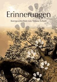 Erinnerungen - Schulz Schulz - E-Book