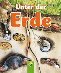 Unter der Erde - Bärbel Oftring - E-Book