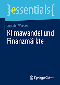 Klimawandel und Finanzmärkte - Joachim Weeber - E-Book