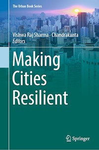 Making Cities Resilient -  - E-Book